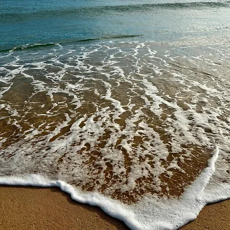 Casa Dos Avos By Mtphomes